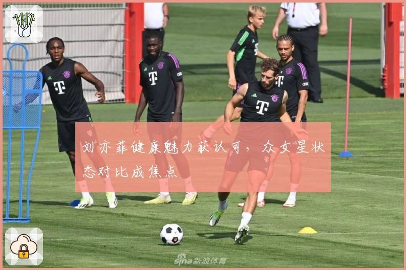 刘亦菲健康魅力获认可，众女星状态对比成焦点