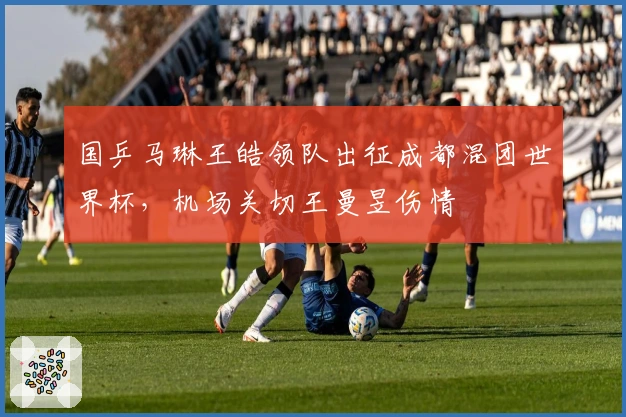 国乒马琳王皓领队出征成都混团世界杯，机场关切王曼昱伤情